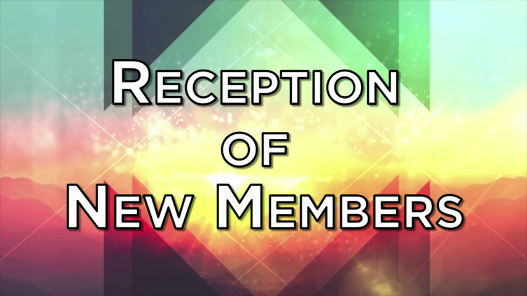 Reception of New Members episode artwork