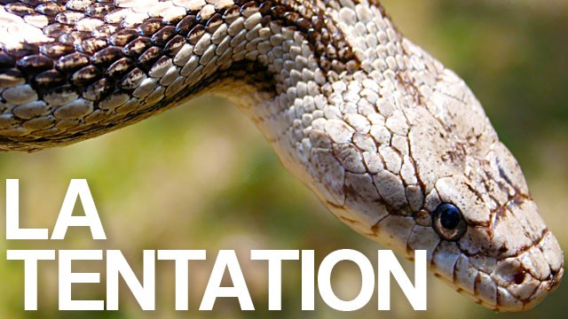 La tentation