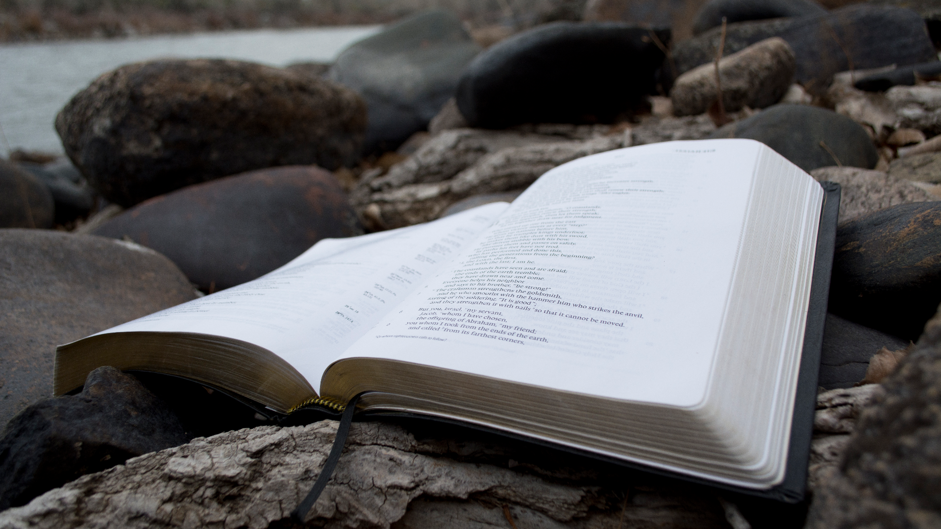 Trinity Reformed Church