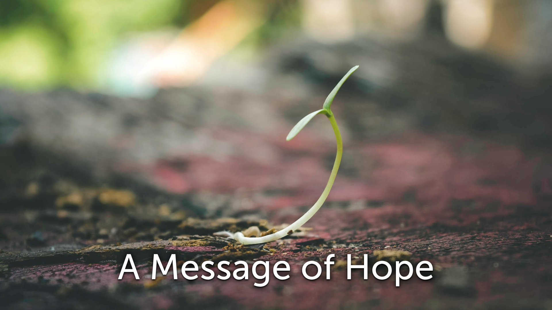 Haftarah - Tetzaveh - A Message of Hope