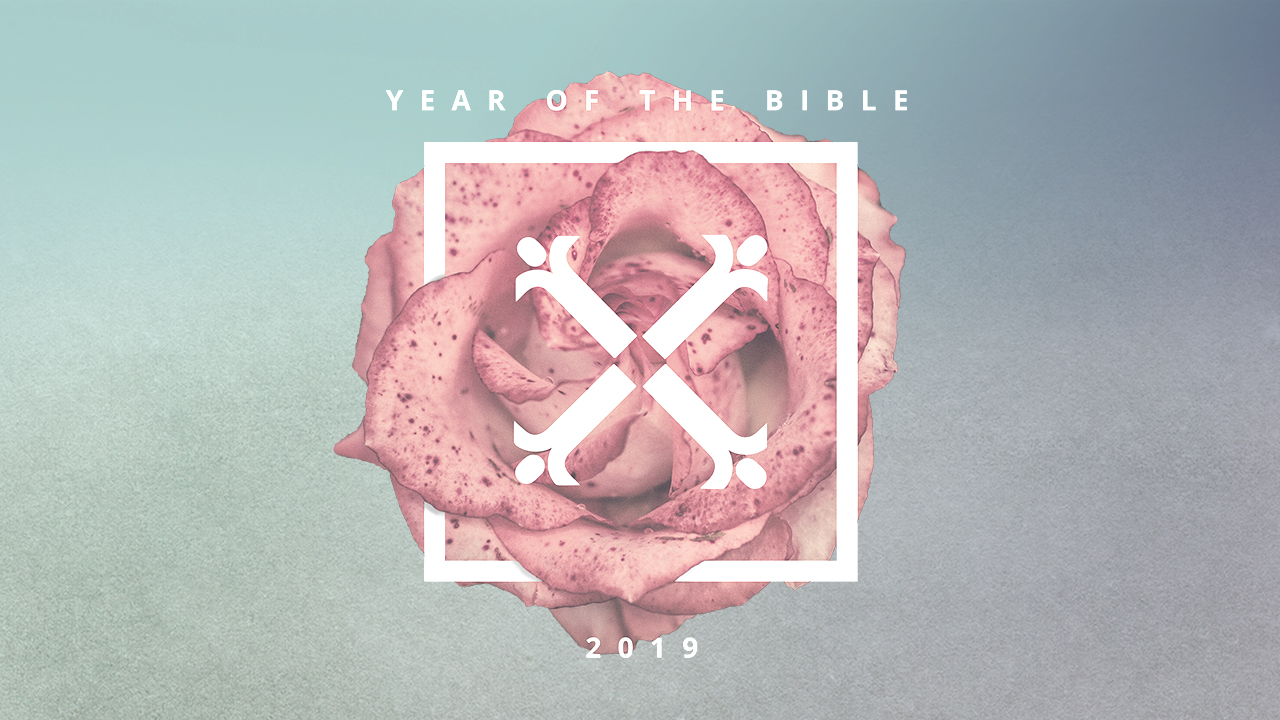 Going Through The Motions