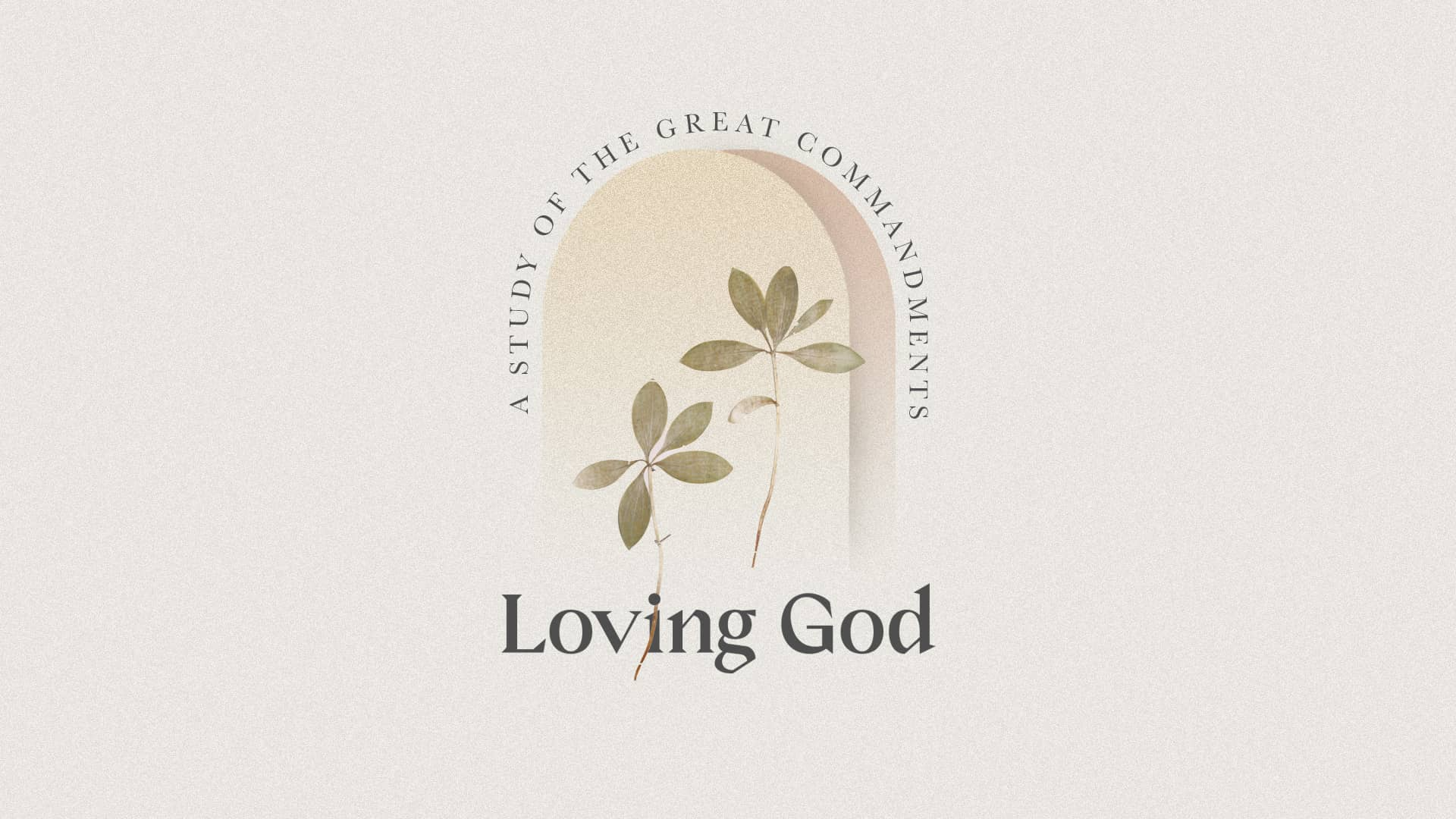 The Eighth Commandment - Audio episode artwork
