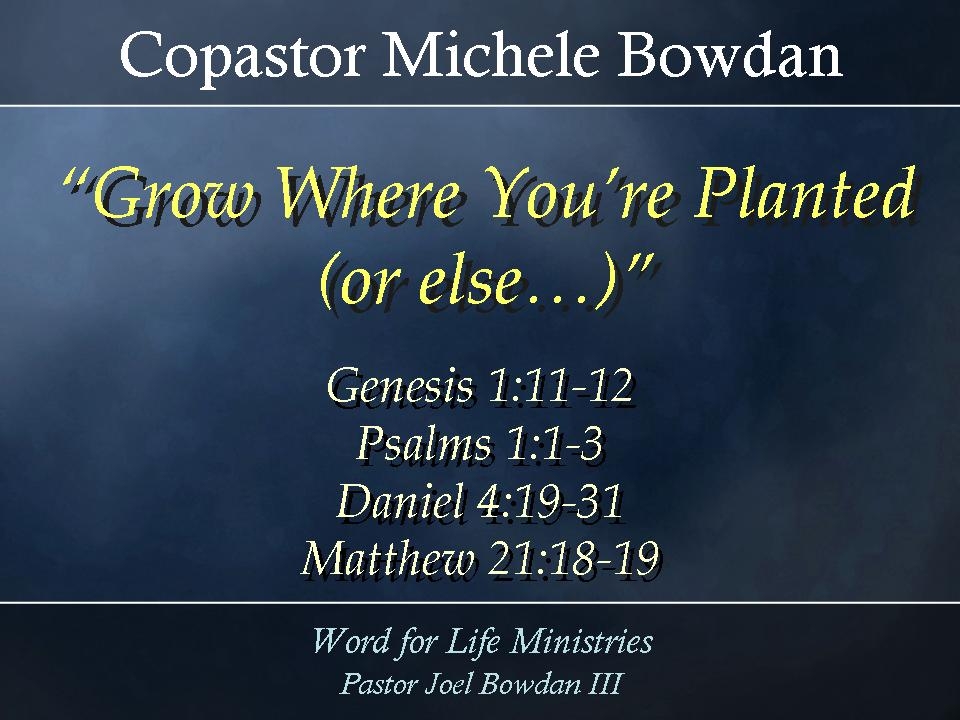 Grow Where You Are Planted...Or Else