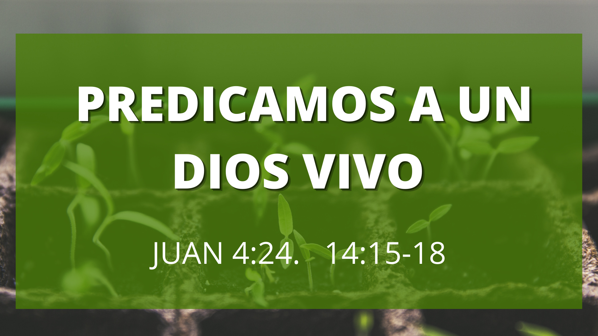 Predicamos A Un Dios Vivo