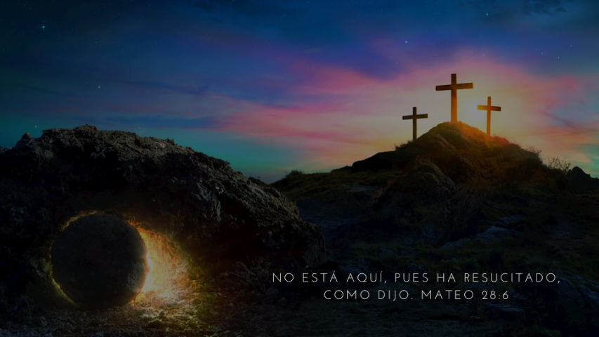 Por Fin Se Abrieron Las Puertas