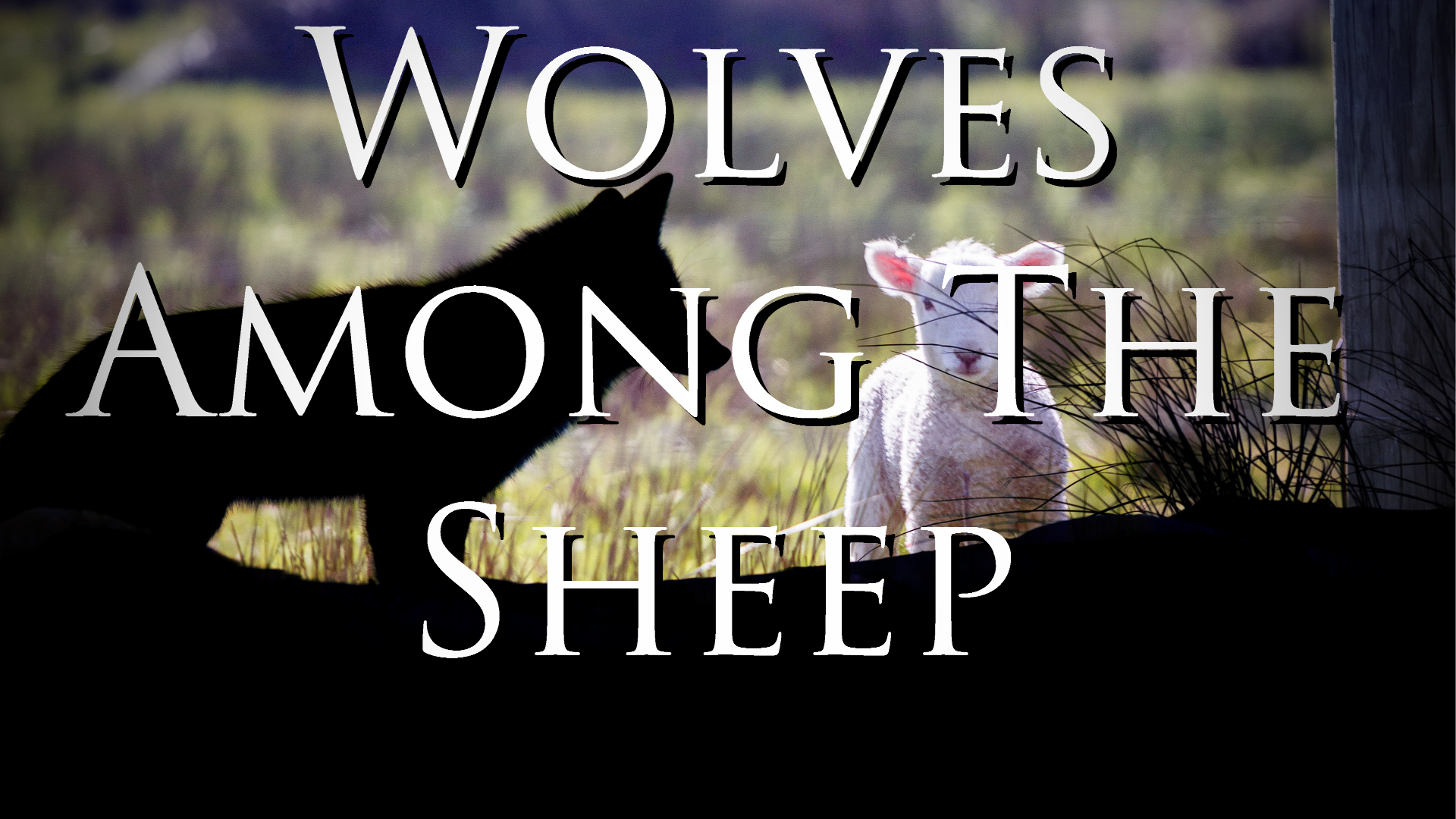 Wolves Among the Sheep Part 4 "A Warning" - Video