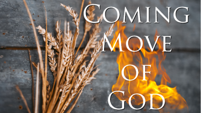 The Coming Move of God Part 2 "Jesus' Deliverance Ministry" - Audio