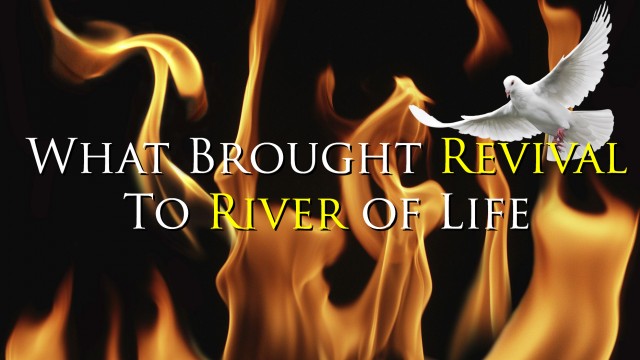 What Brought Revival to River of Life