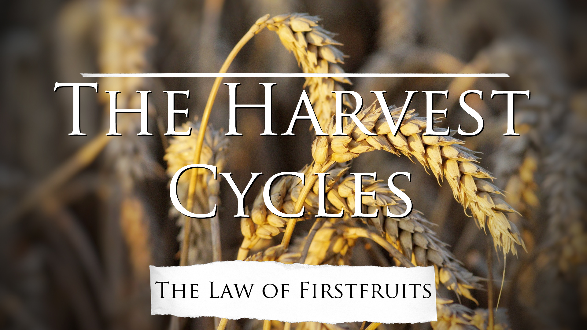 The Harvest Cycles