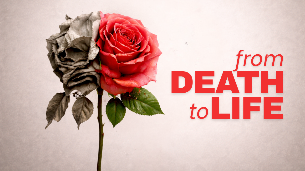 Eternal Joy - From Death to Life  - Audio episode artwork