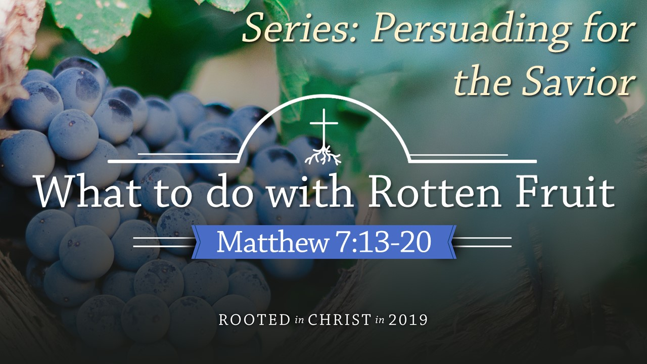 What to do with Rotten Fruit