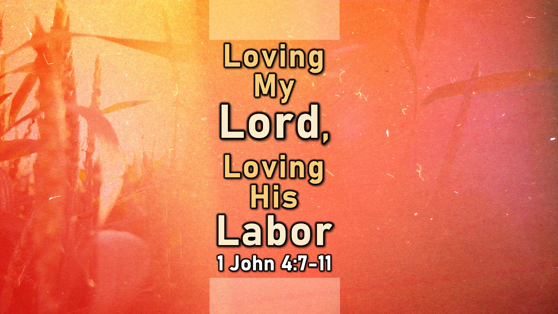 Loving My Lord, Loving His Labor - Audio episode artwork