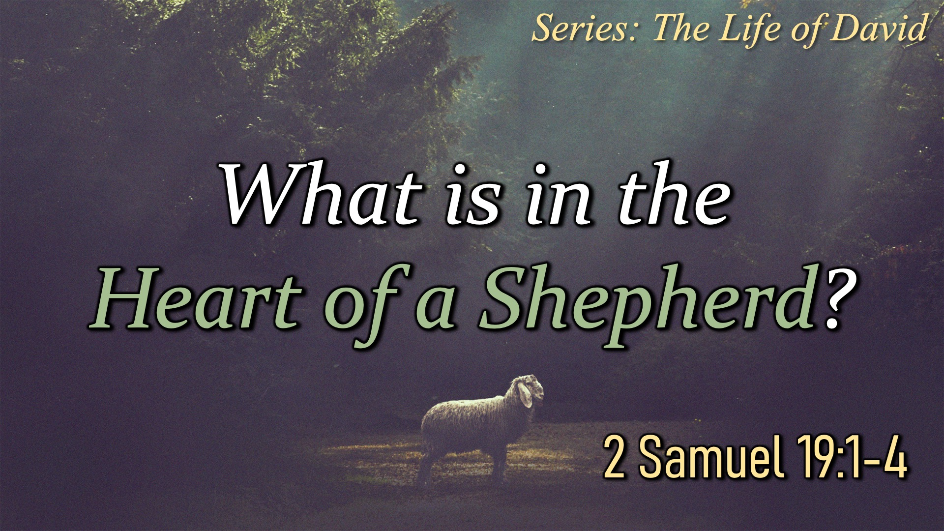 What is in the Heart of a Shepherd? episode artwork