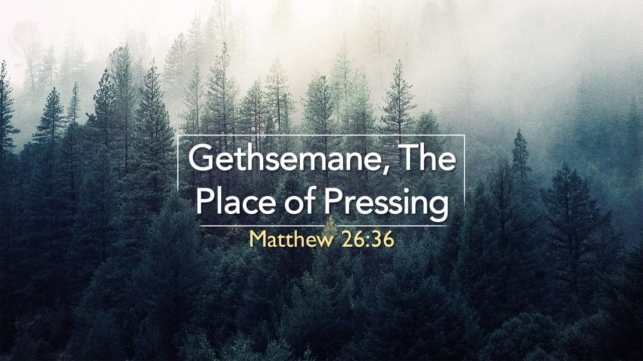 Pastor Curtis King: Gethsemane, The Place of Pressing episode artwork