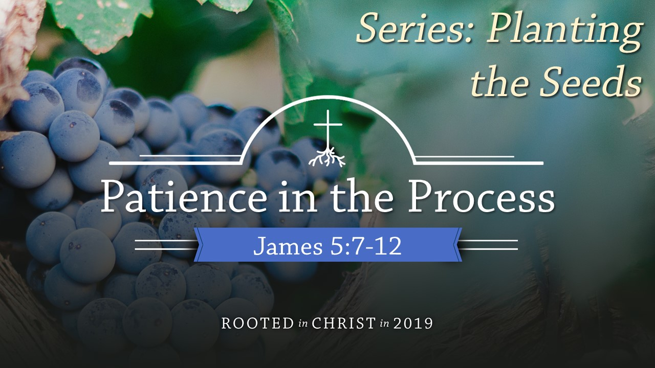 Patience in the Process