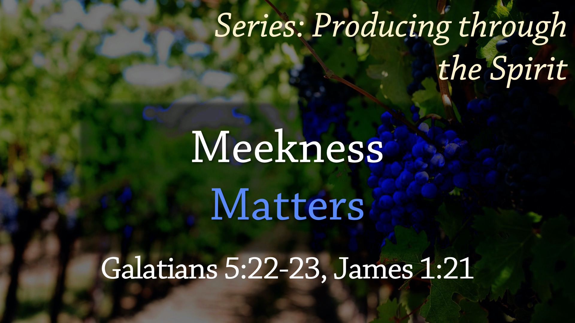 Meekness Matters