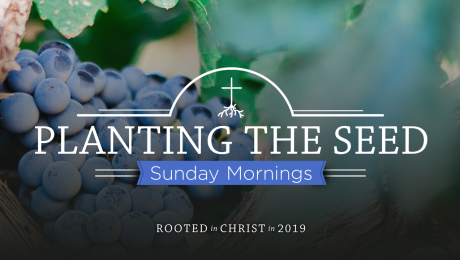 Rooted in Christ: Planting the Seed