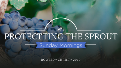 Rooted in Christ: Protecting the Sprout