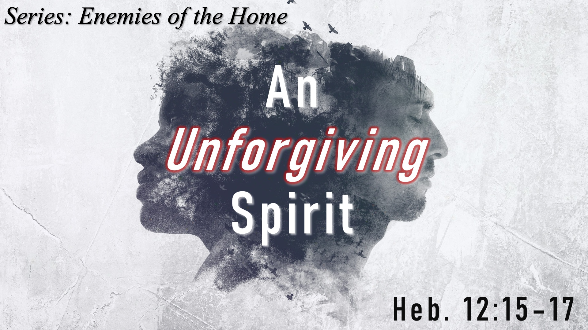 Enemies of the Home - An Unforgiving Spirit episode artwork