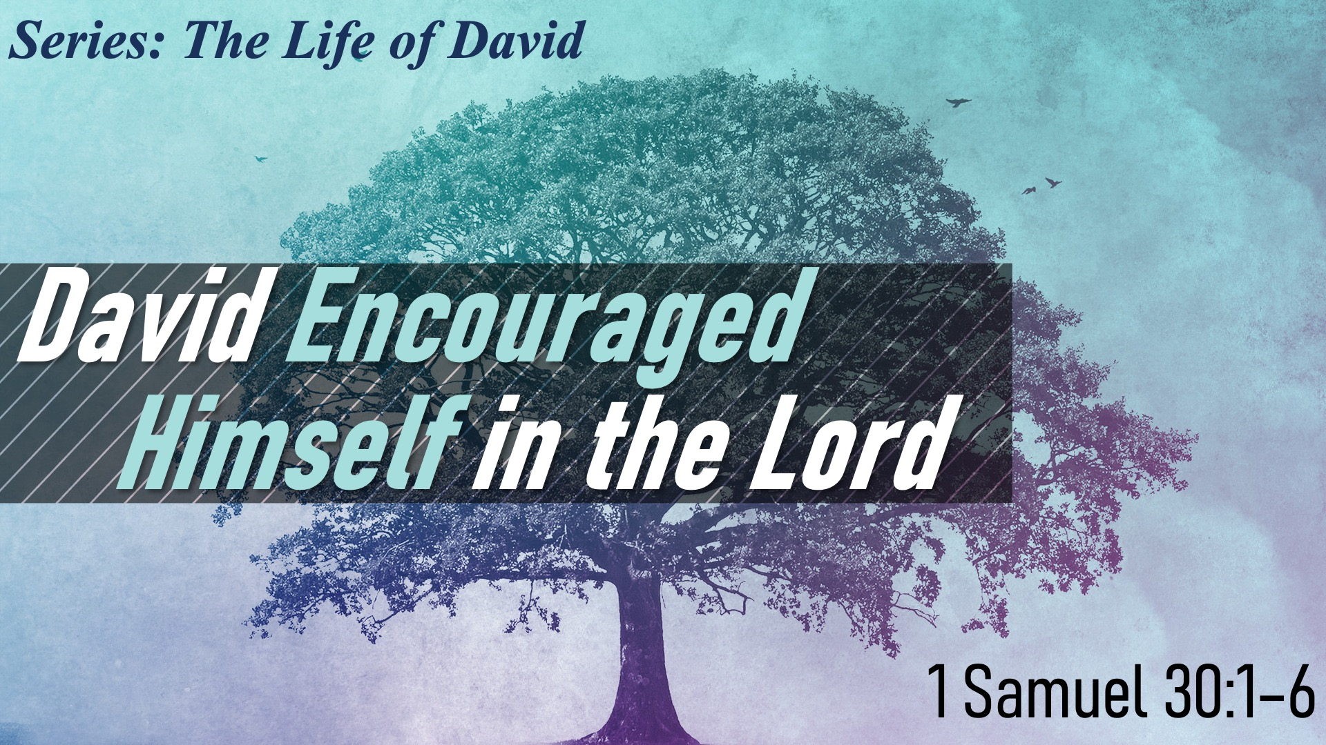 David Encouraged Himself in the Lord episode artwork