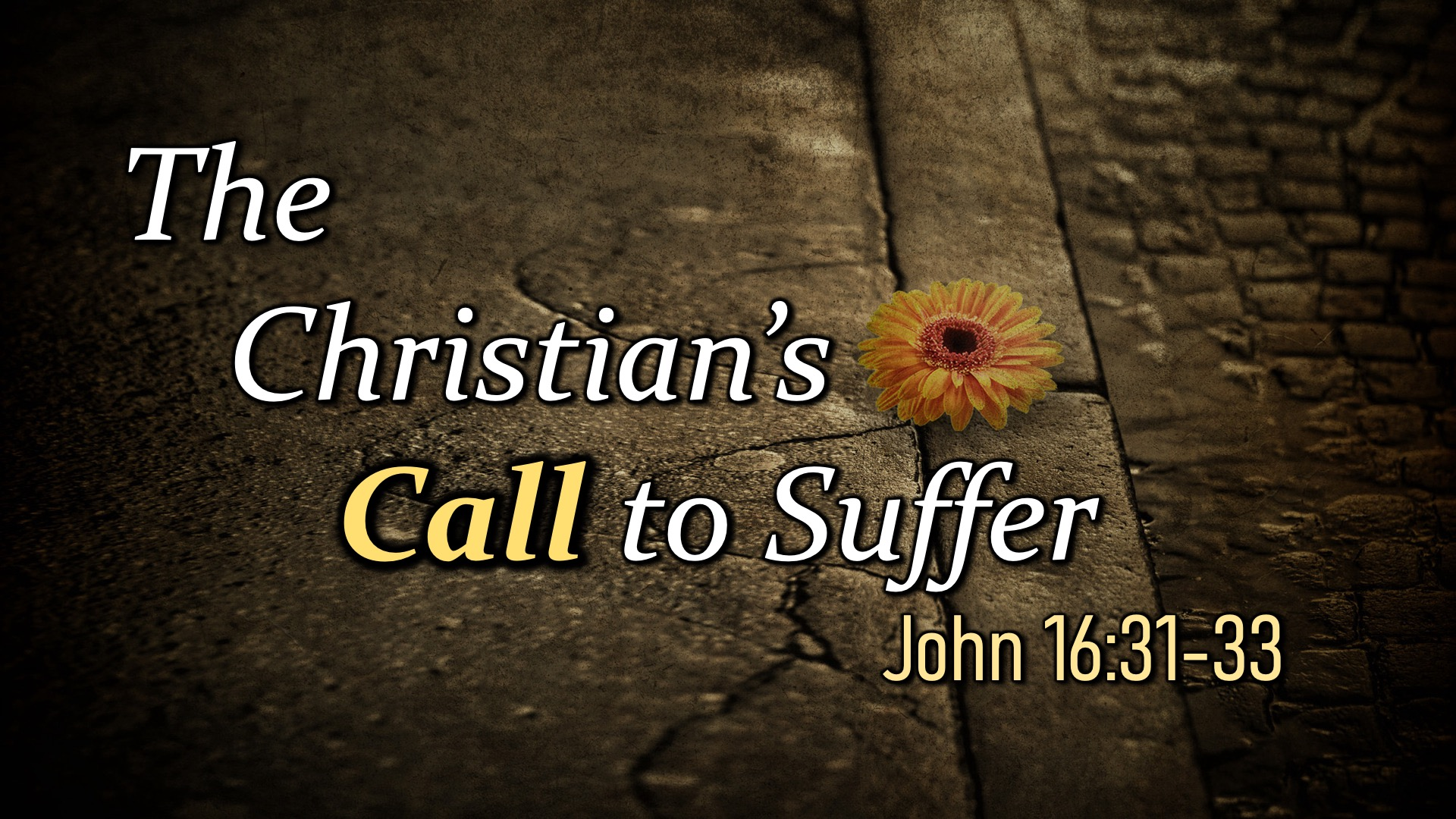 The Christian's Call to Suffer episode artwork