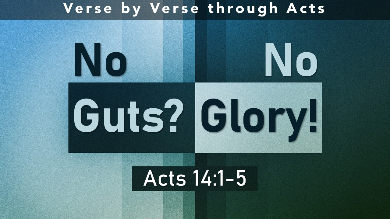 No Guts? No Glory!