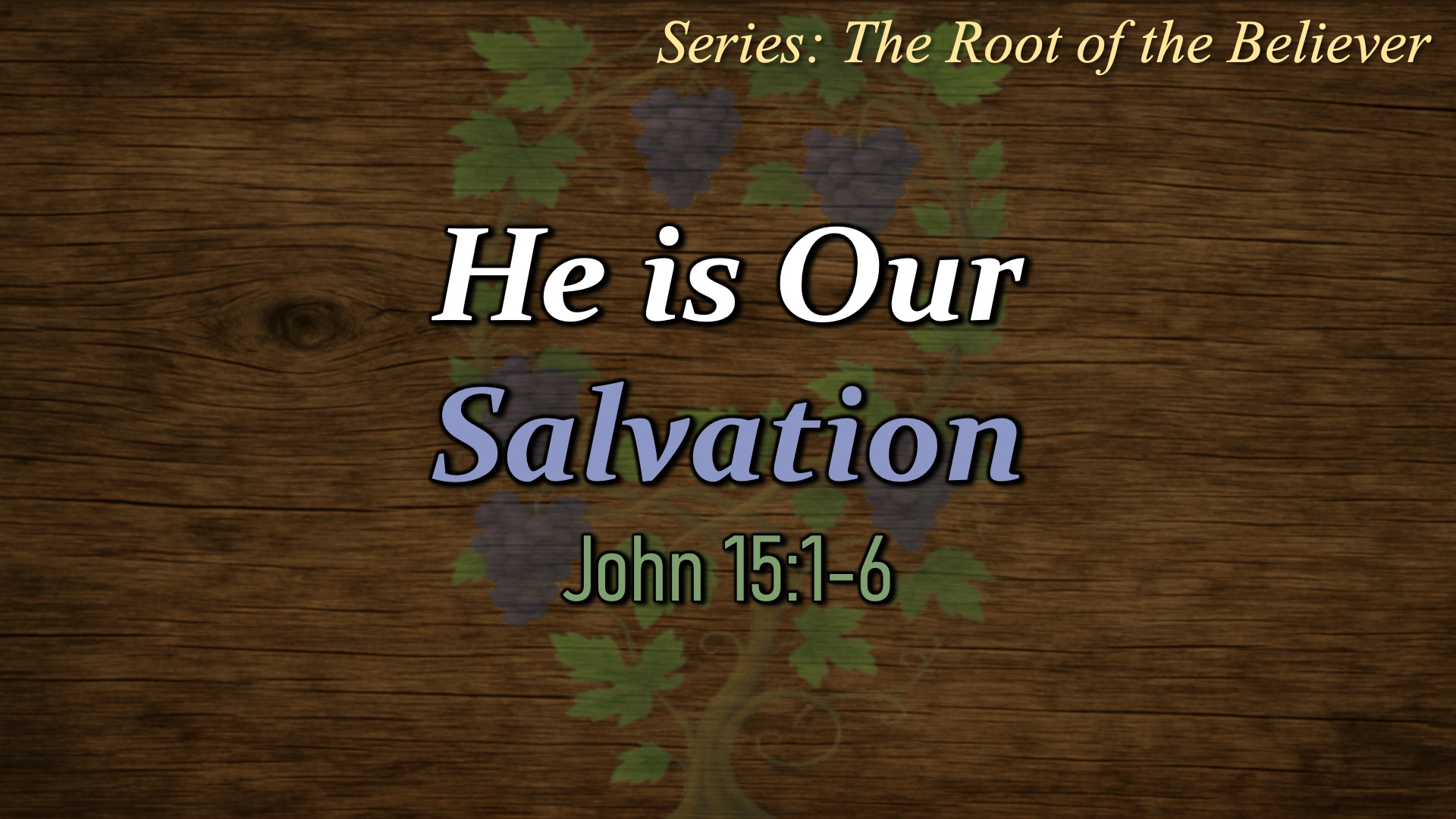 The Root of the Believer-He is our Salvation - Audio episode artwork