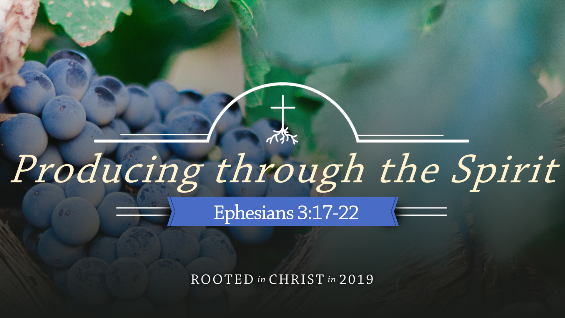 Developing the  Fruit of God’s Love