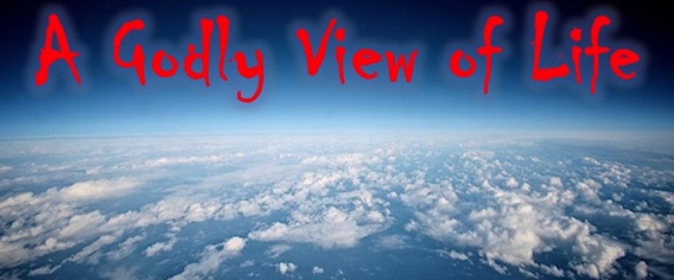 A Godly View of Life - Audio episode artwork