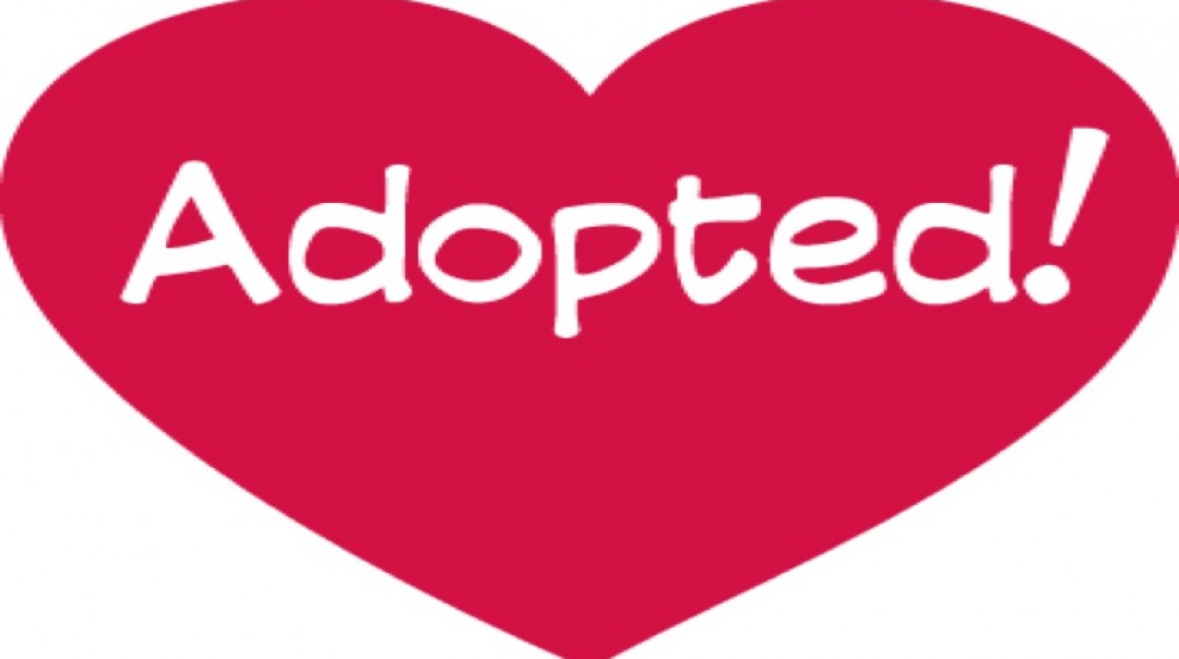 Adopted! - Audio episode artwork