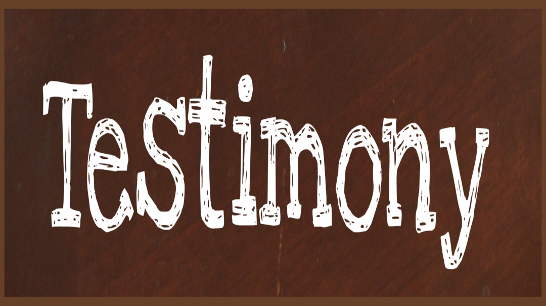 Testimony of a Terrorist - Audio episode artwork