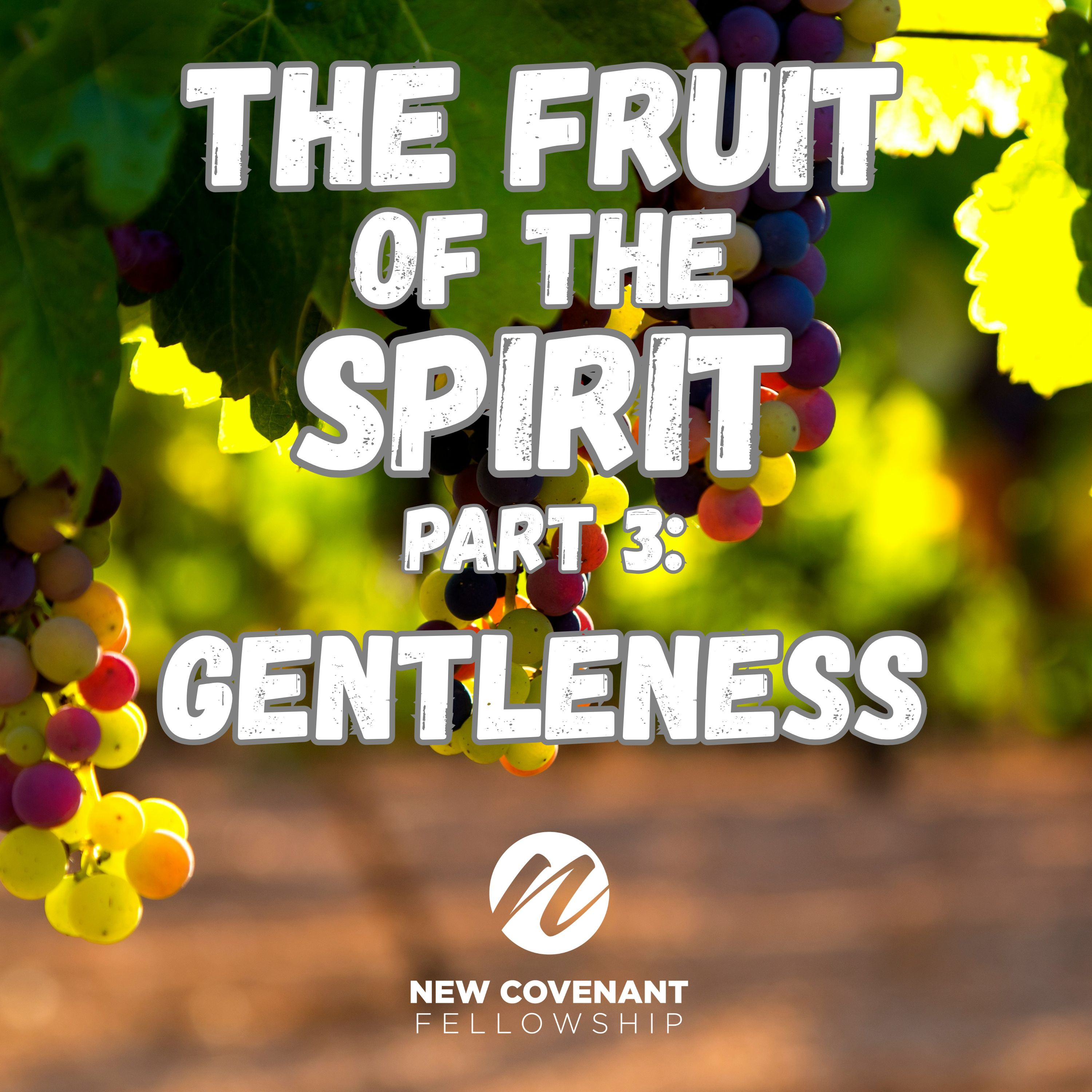 "The Fruit of the Spirit - Part 3:  GENTLENESS" - Audio