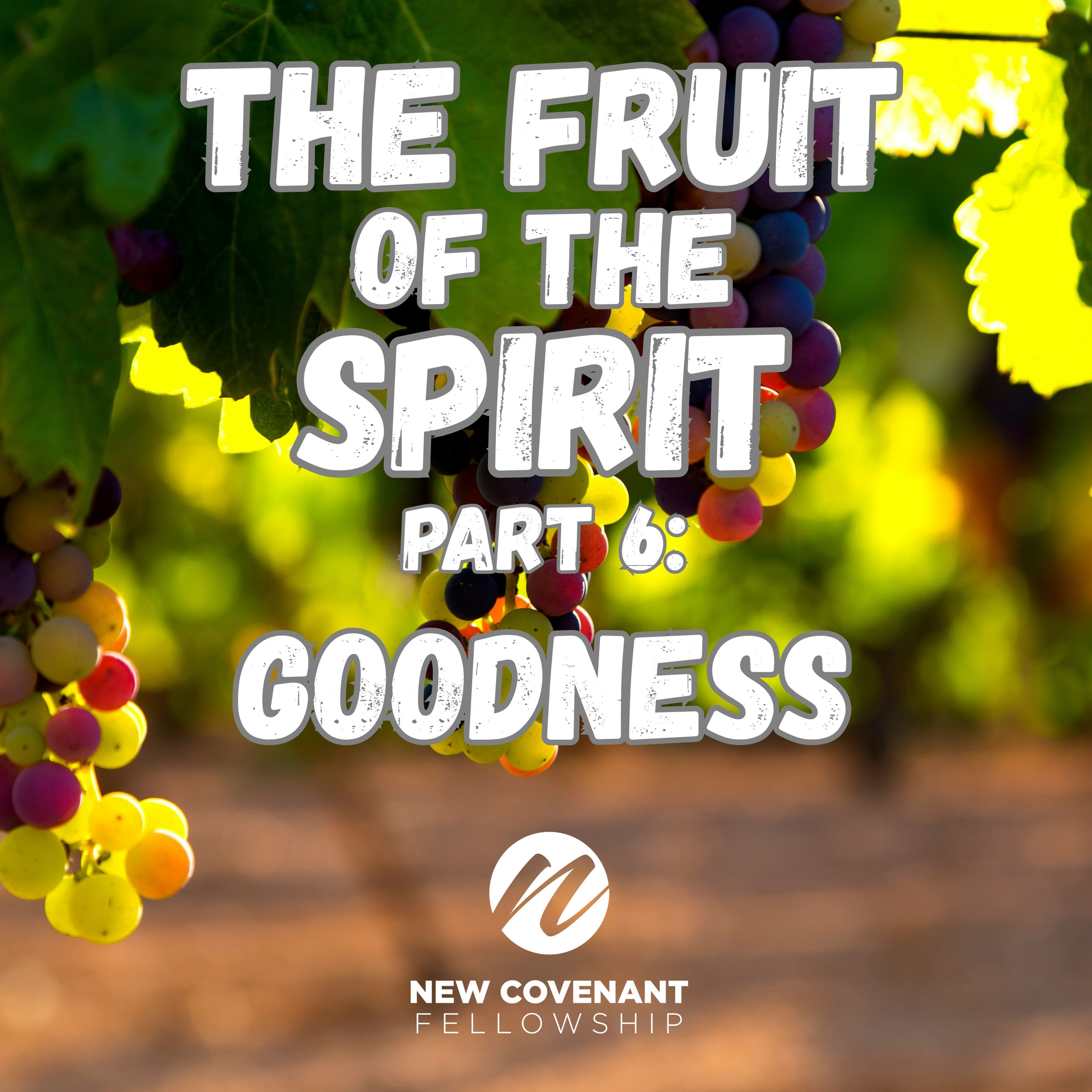 "The Fruit of the Spirit - Part 6:  GOODNESS" - Audio