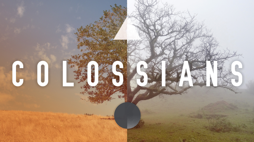 Colossians Reading Service - Audio episode artwork