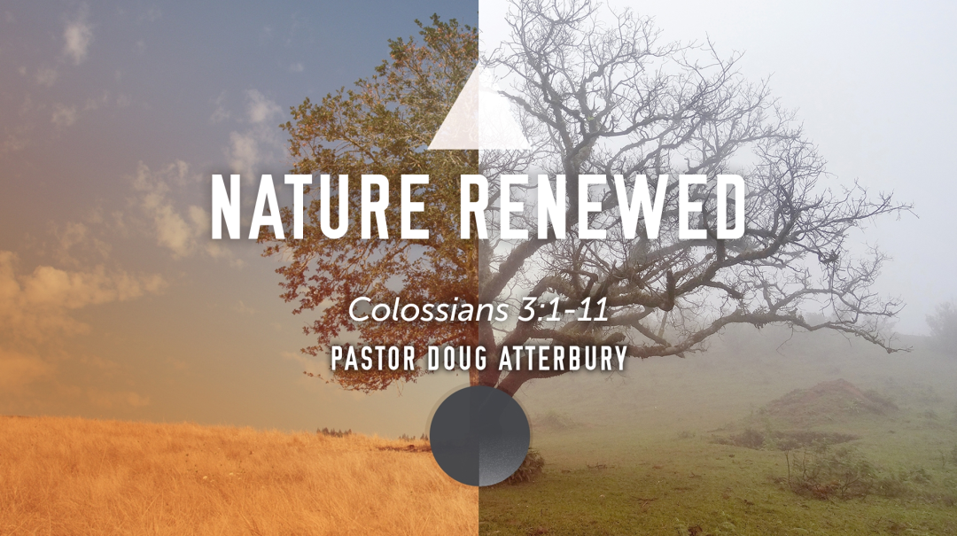 Nature Renewed - Audio episode artwork