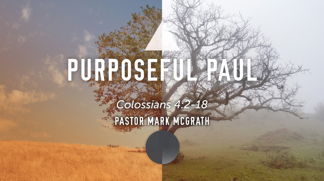 Purposeful Paul - Audio episode artwork