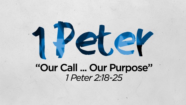 Our Call ... Our Purpose - Audio episode artwork