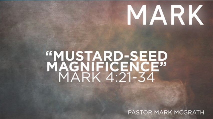 Mustard-Seed Magnificence episode artwork