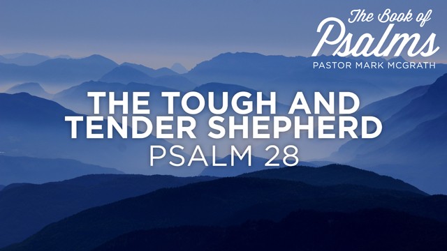 The Tough and Tender Shepherd - Audio episode artwork