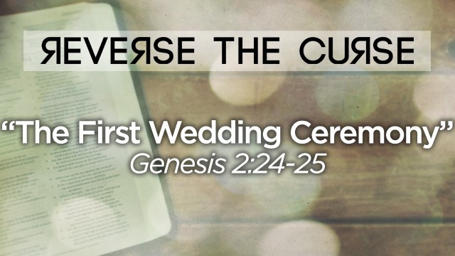 The First Wedding Ceremony - Audio episode artwork