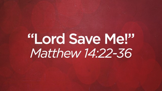 Lord Save Me! - Audio episode artwork