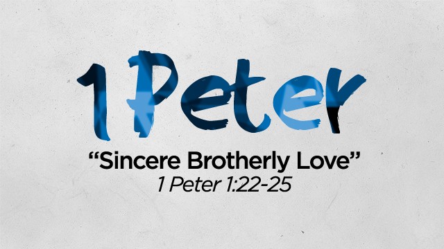 Sincere Brotherly Love episode artwork