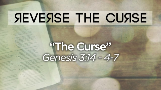 The Curse episode artwork