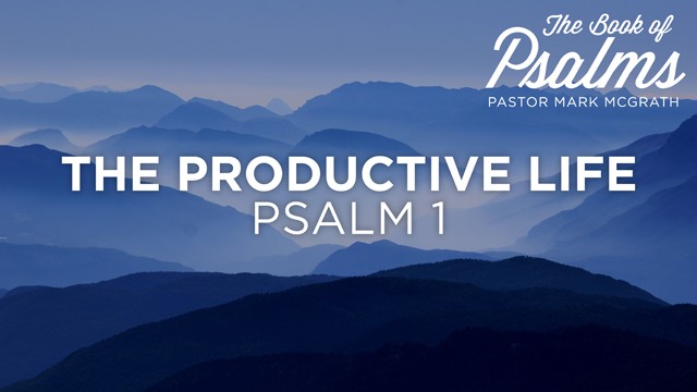 The Productive Life episode artwork
