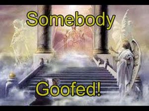 Somebody Goofed In The Hood