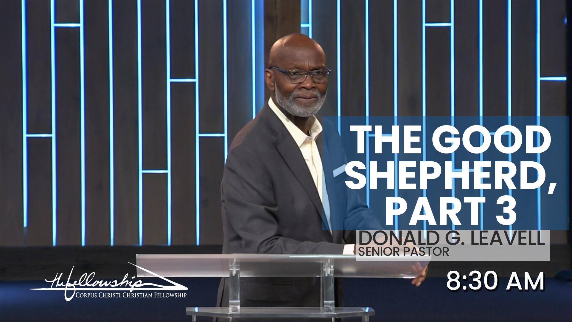 THE GOOD SHEPHERD, Part 3  (LEARNING FROM THE BEST)   8:30 AM  6/30/24 - Audio episode artwork