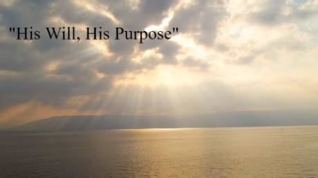 HIs Purpose, His Will - Video