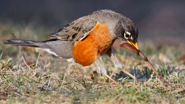 Gods Best Is Better!