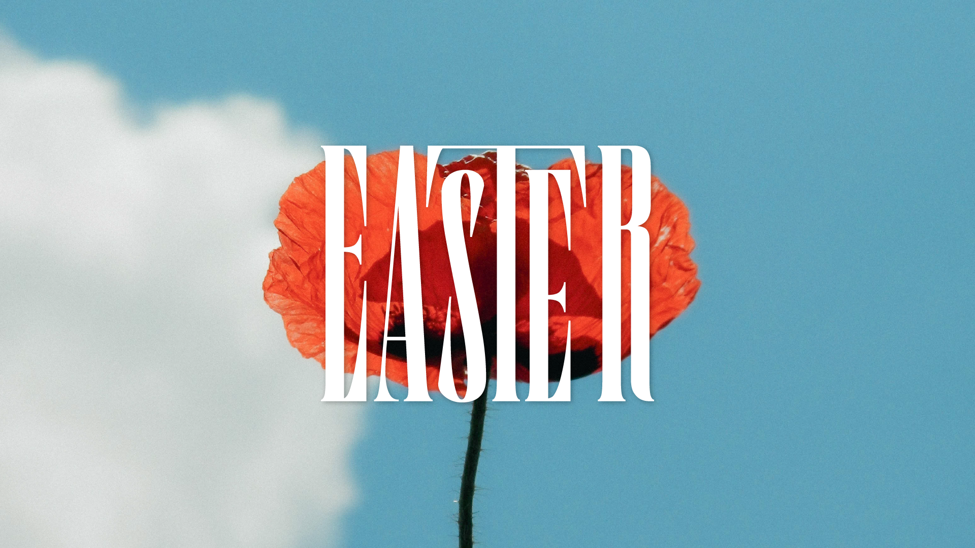 Easter: A Life Changing Walk, 04-05-26 episode artwork