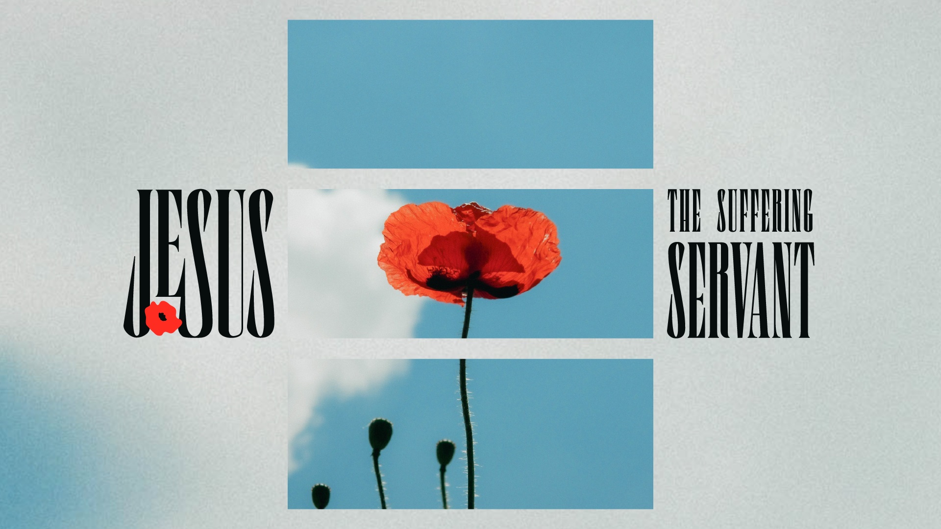 Jesus the Suffering Servant: After Resurrection, 04-12-26 episode artwork